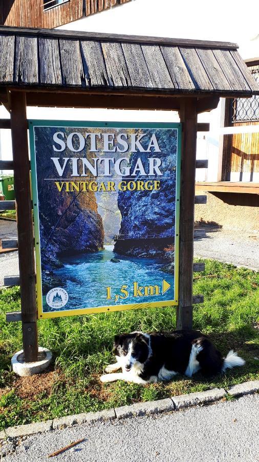 238 Spodnje Gorje Lägenhet Exteriör bild